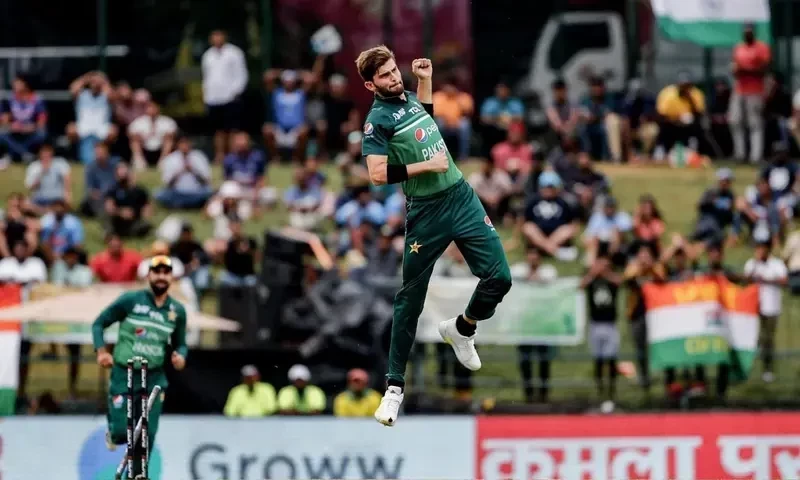 shaheen shah afridi